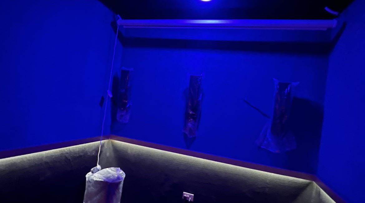 5 Bedroom Duplex with a Private Cinema and Swimming Pool